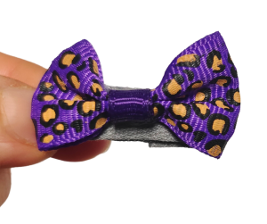 Urocza kokardka panterka fioletowa