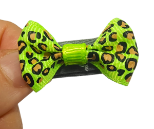 Urocza kokardka panterka zielona neonowa