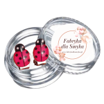 Klipsy biedroneczki żywica